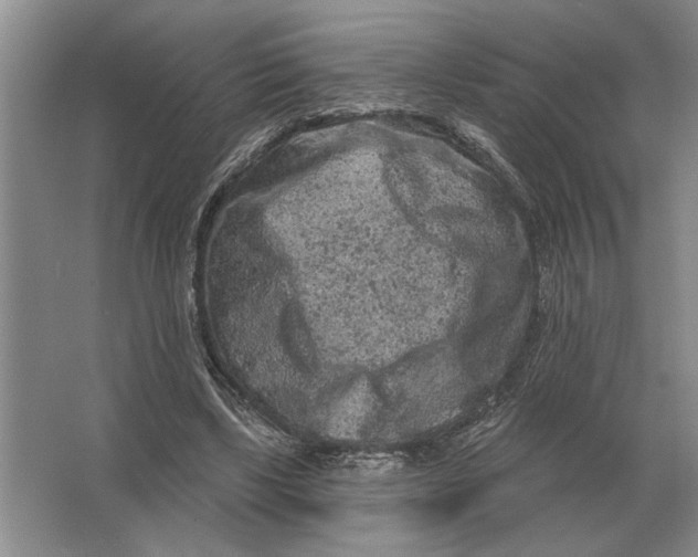 X0000063480443200602101810