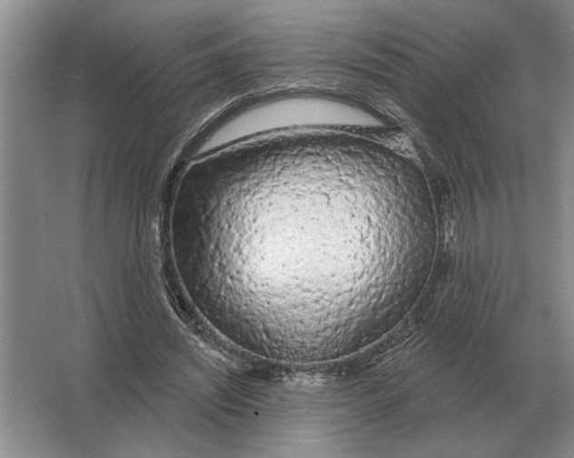 X0000063480444200602101810