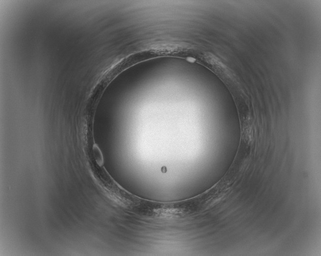 X0000063480448200602101811