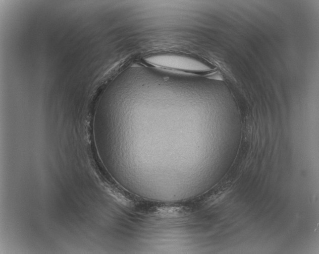 X0000063480450200602101811
