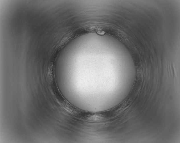X0000063480460200602101811