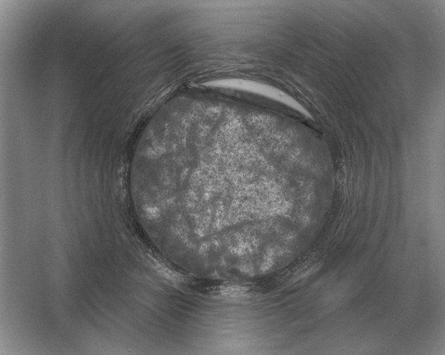 X0000063480462200602101811