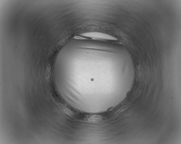 X0000063480463200602101811