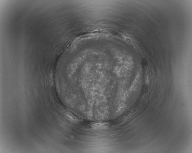 X0000063480465200602101811