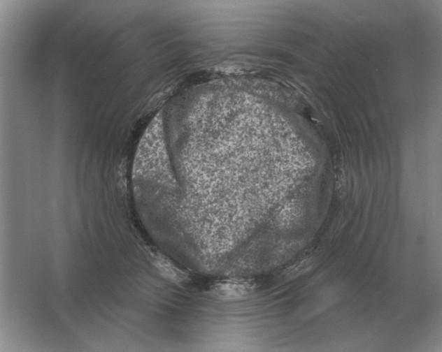 X0000063480466200602101811