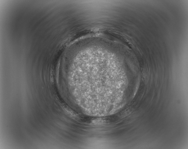 X0000063480470200602101811