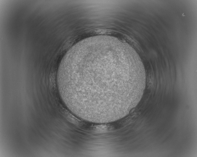 X0000063480473200602101811