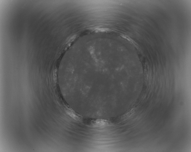 X0000063480475200602101811