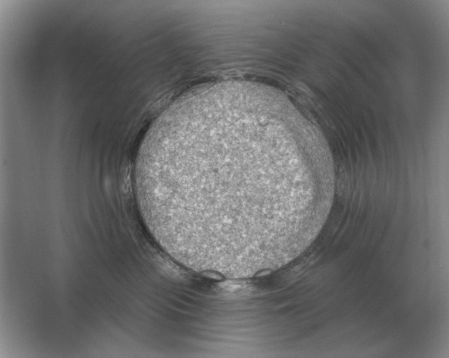 X0000063480477200602101811