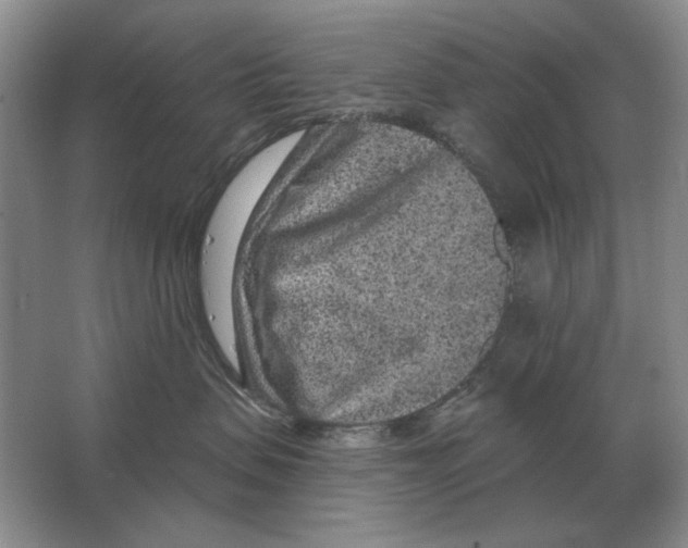 X0000063480479200602101811