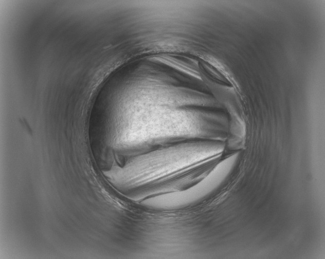 X0000063480481200602101810