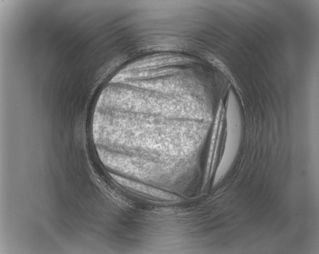 X0000063480482200602101810