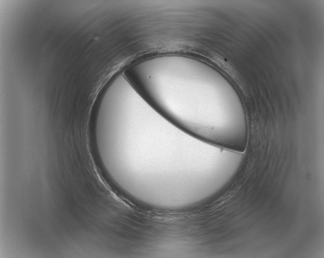 X0000063480485200602101810