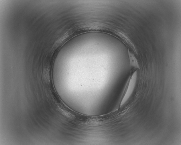 X0000063480489200602101810