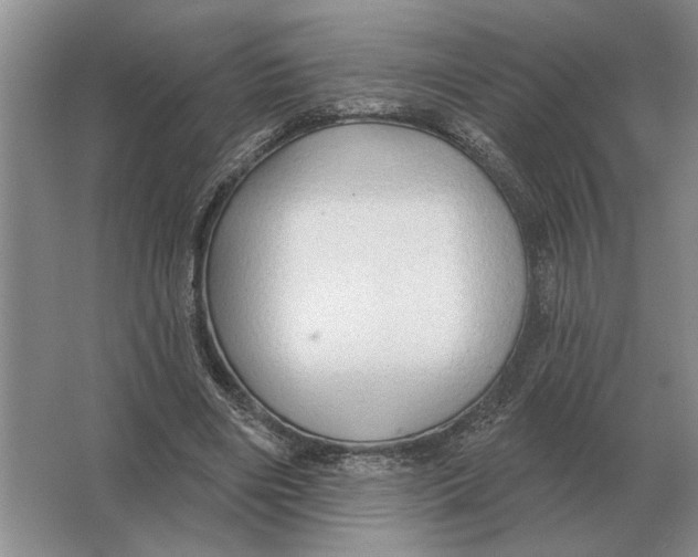 X0000063480490200602101810