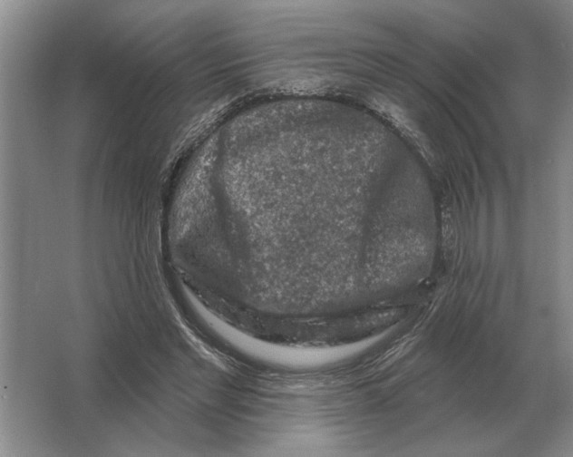 X0000063480493200602101810