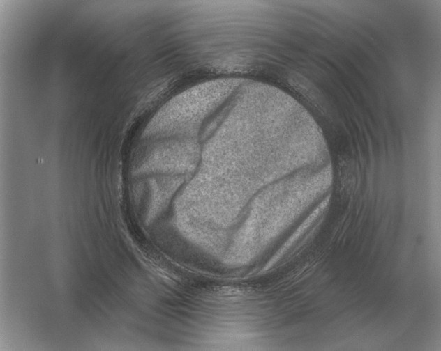 X0000063480494200602101810