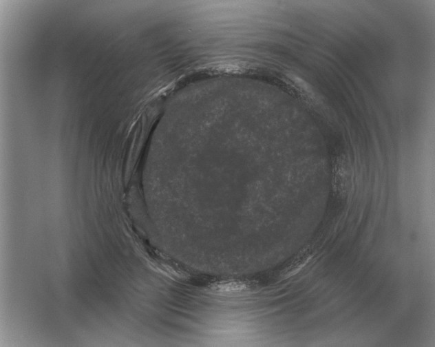 X0000063480500200602101810