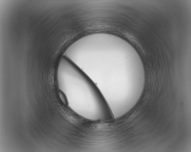 X0000063480501200602101810