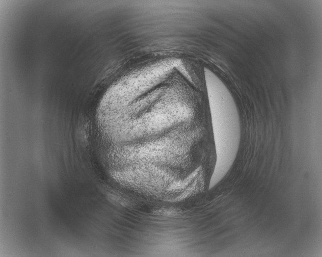 X0000063480503200602101810