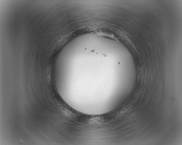 X0000063480505200602101810