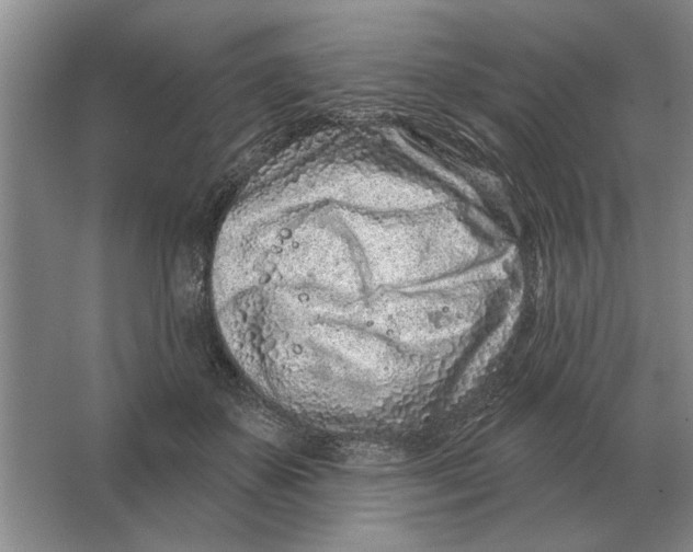 X0000063480507200602101810
