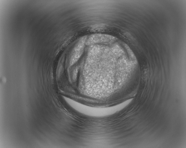 X0000063480508200602101810
