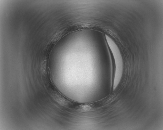 X0000063480509200602101810