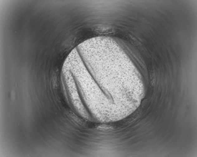 X0000063480515200602101810
