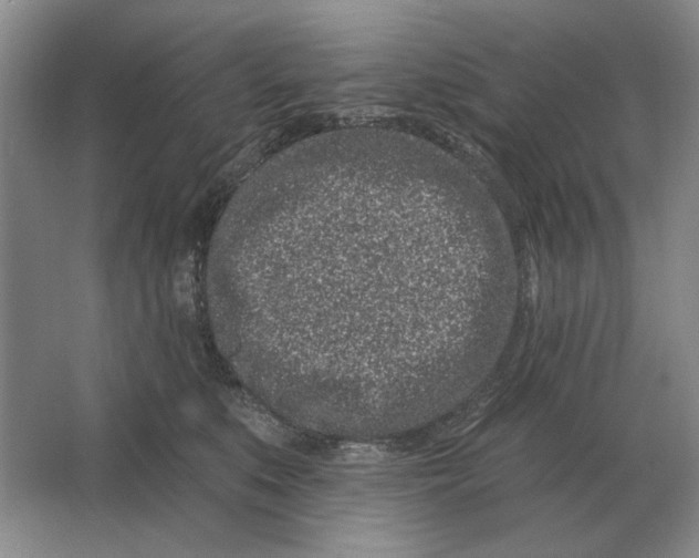 X0000063480519200602101810