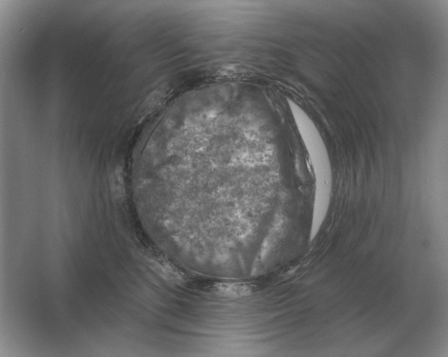 X0000063480520200602101810