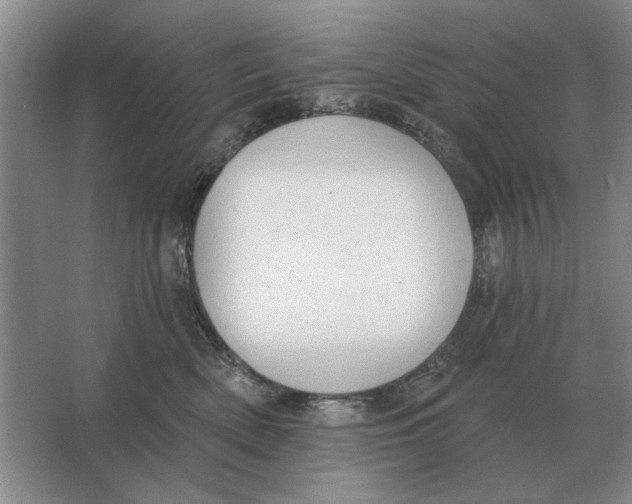 X0000063480522200602101810