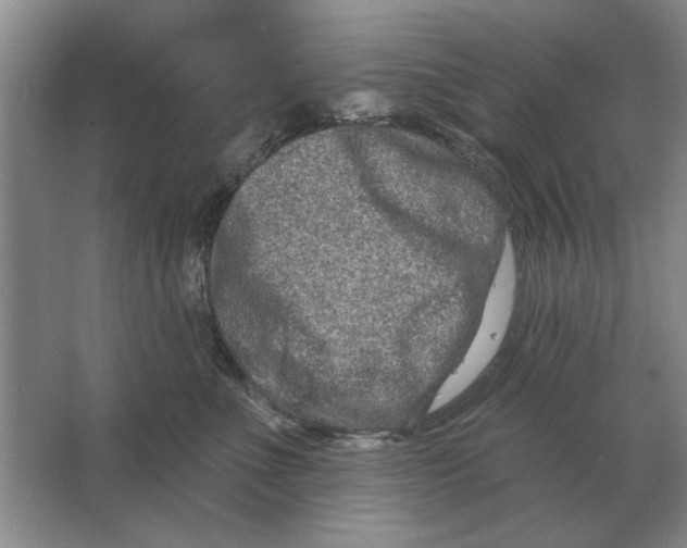 X0000063480523200602101810