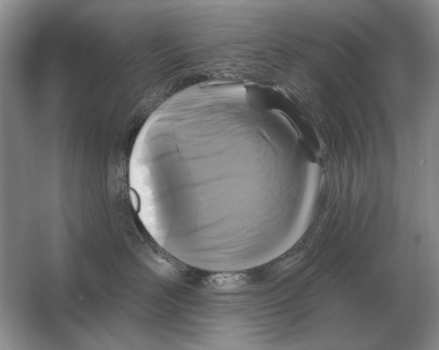 X0000063480526200602101810