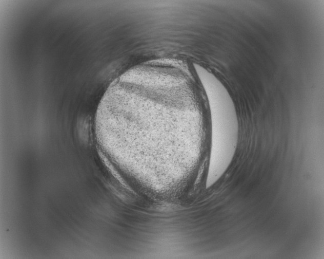 X0000063480527200602101809