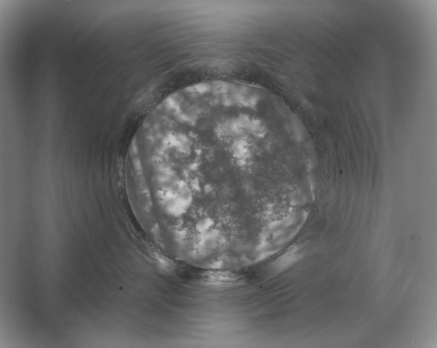 X0000063480528200602101809