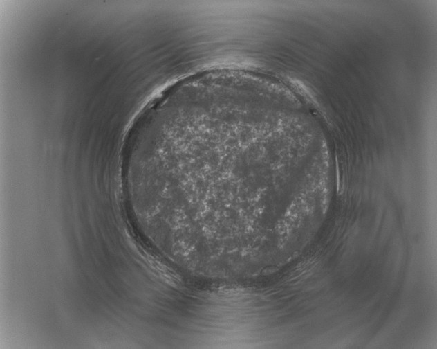 X0000063480531200602101809