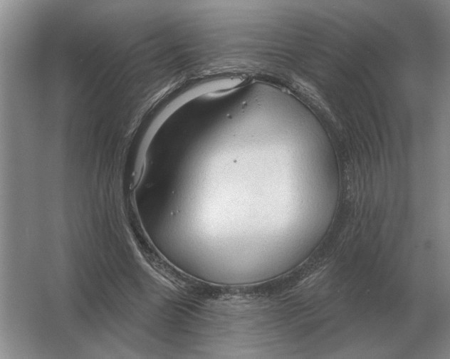 X0000063480538200602101809