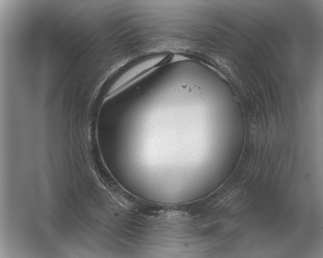 X0000063480539200602101809
