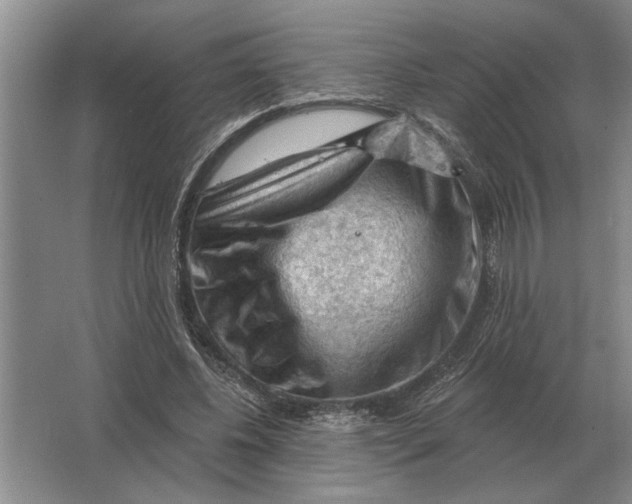 X0000063480540200602101809