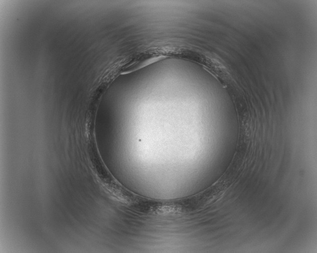 X0000063480546200602101809