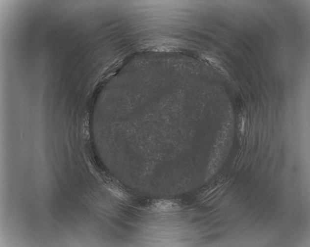 X0000063480547200602101809