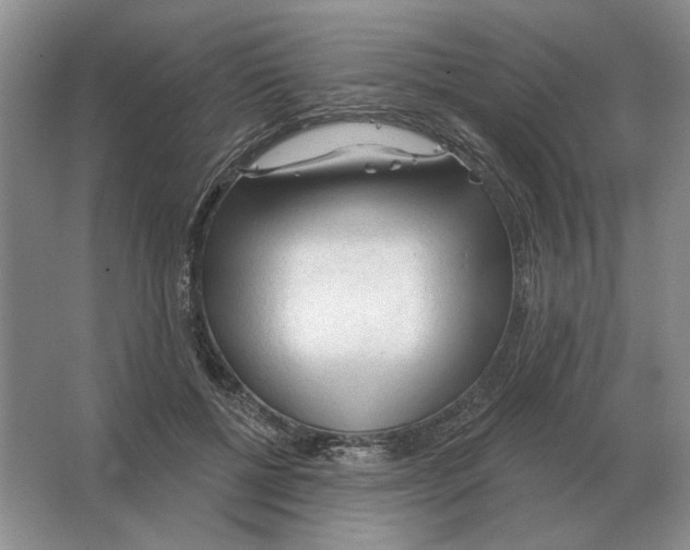 X0000063480552200602101809