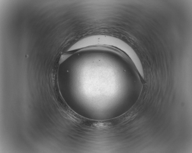 X0000063480558200602101809