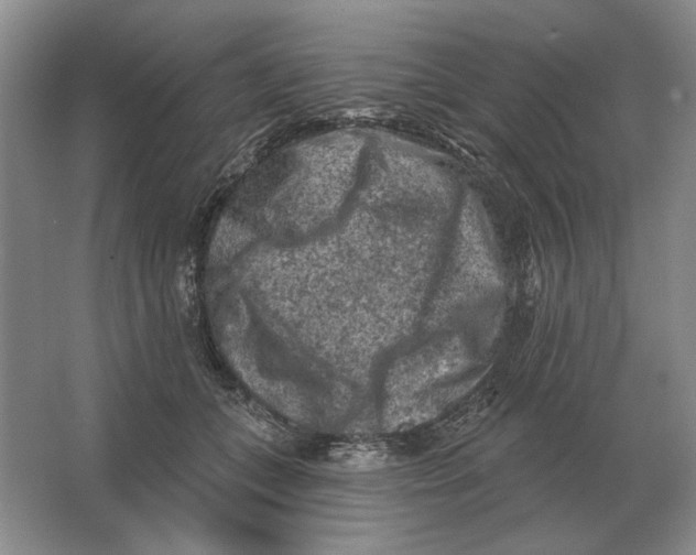 X0000063480559200602101809