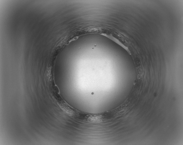 X0000063480560200602101809