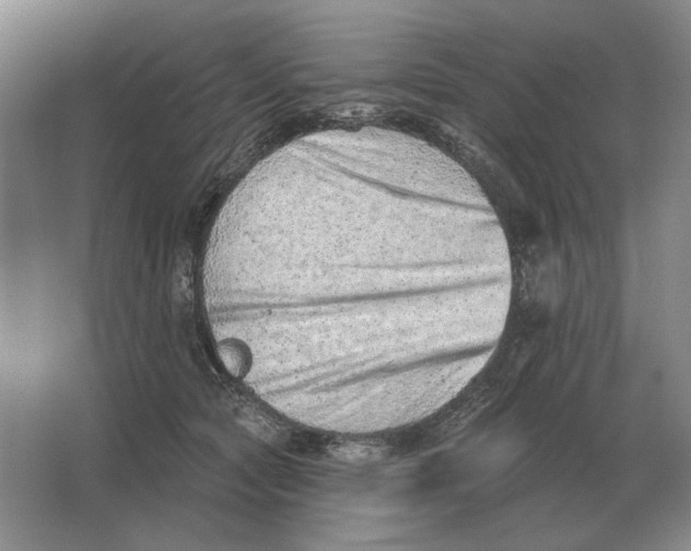 X0000063480561200602101809