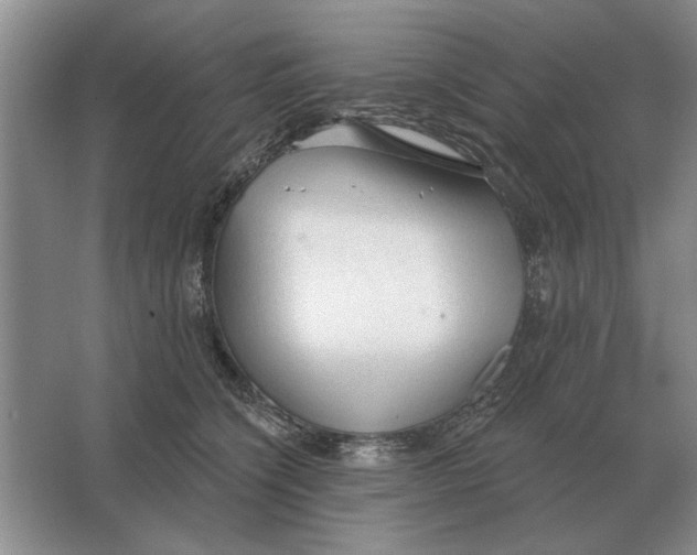 X0000063480564200602101809