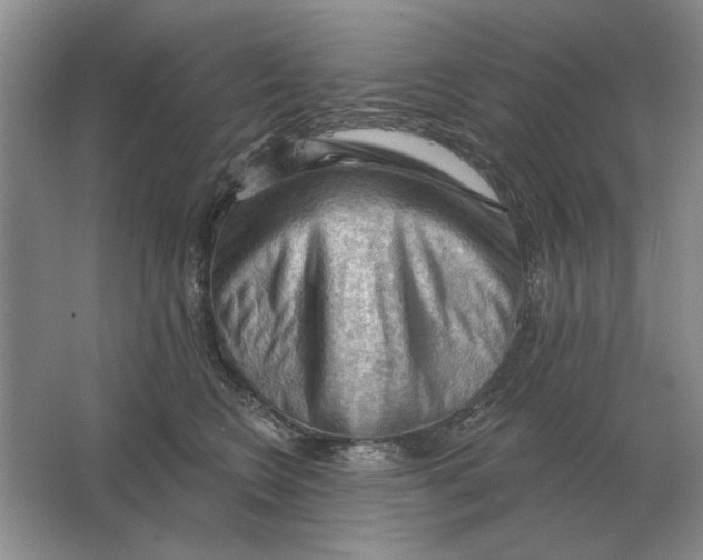 X0000063480566200602101809