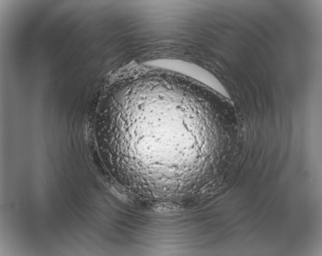 X0000063480568200602101809